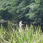 Appartamento Haus Bodetal