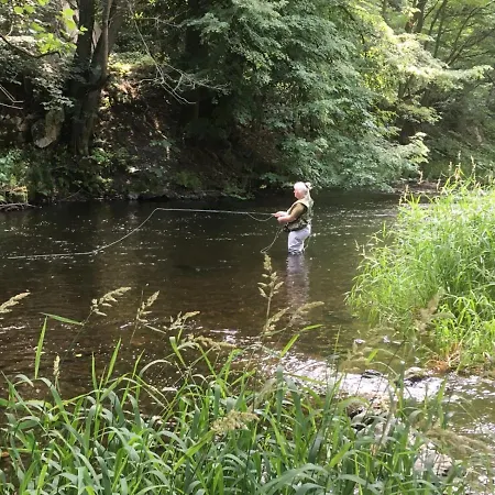 Haus Bodetal Apartamento