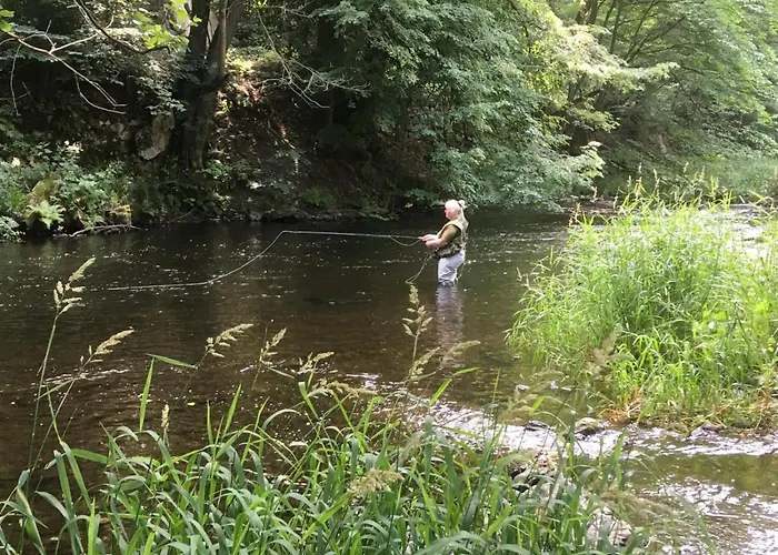 Haus Bodetal 아파트