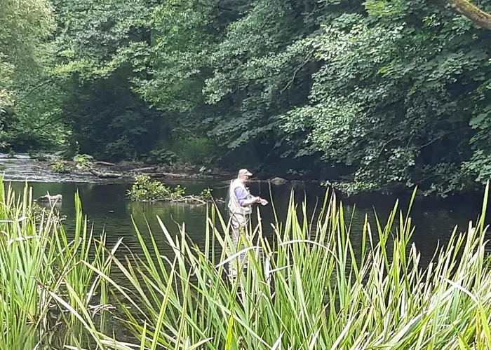 Apartman Haus Bodetal